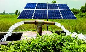 Solar Panel For Agriculture